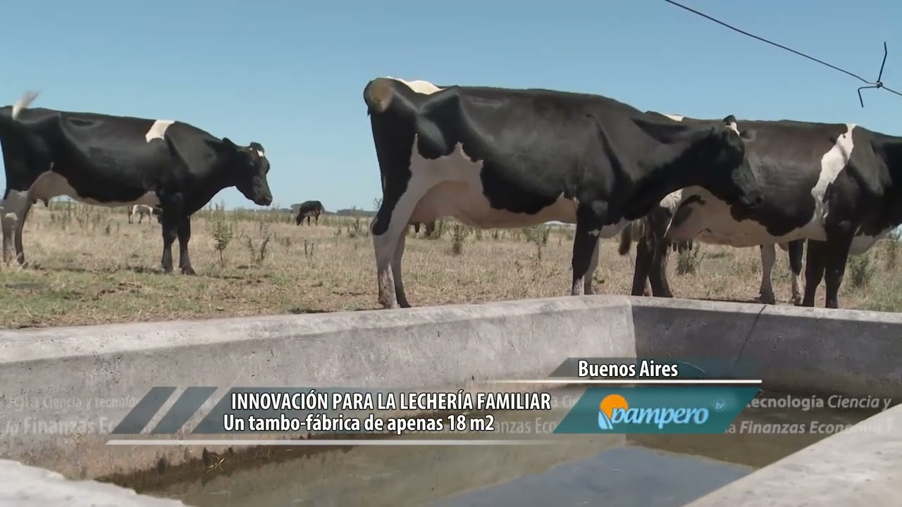 Innovación para la lechería familiar