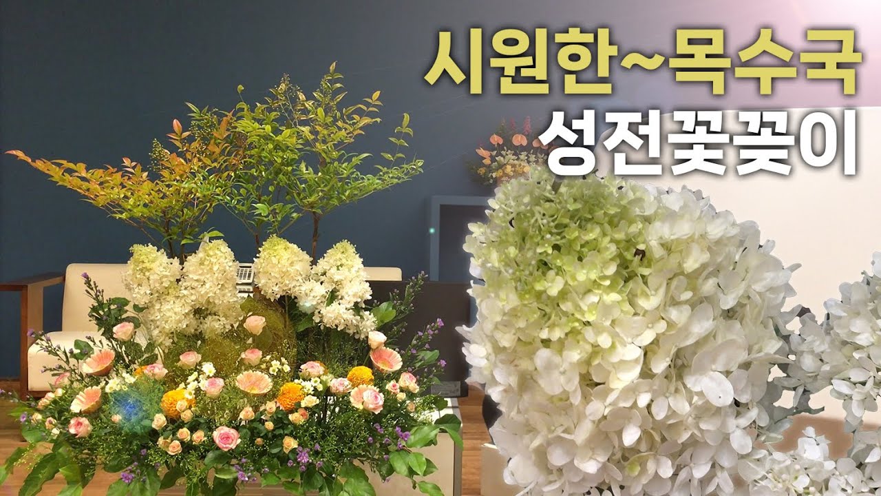 목수국으로 시원하게 성전 꽃꽂이