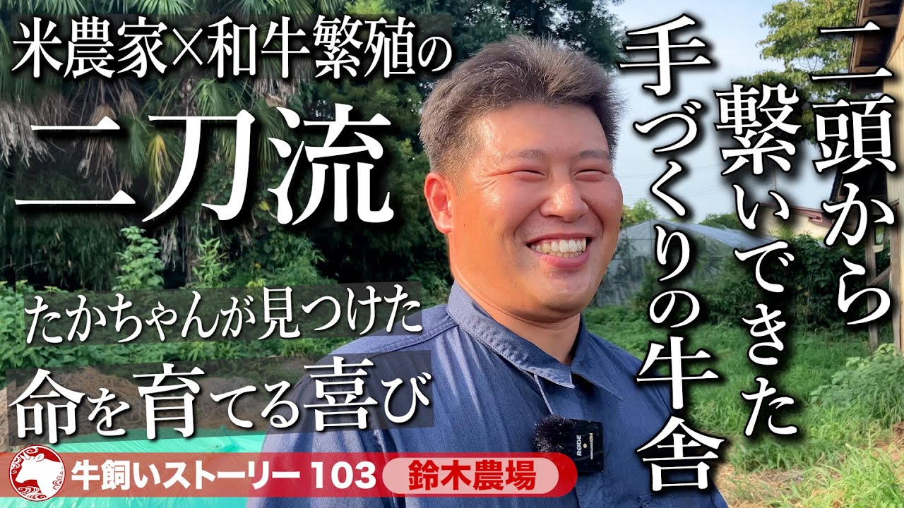 【栃木：鈴木農場】米農家×和牛の二刀流！鈴木農場の物語《牛旅wasabee 牛飼いストーリー103》