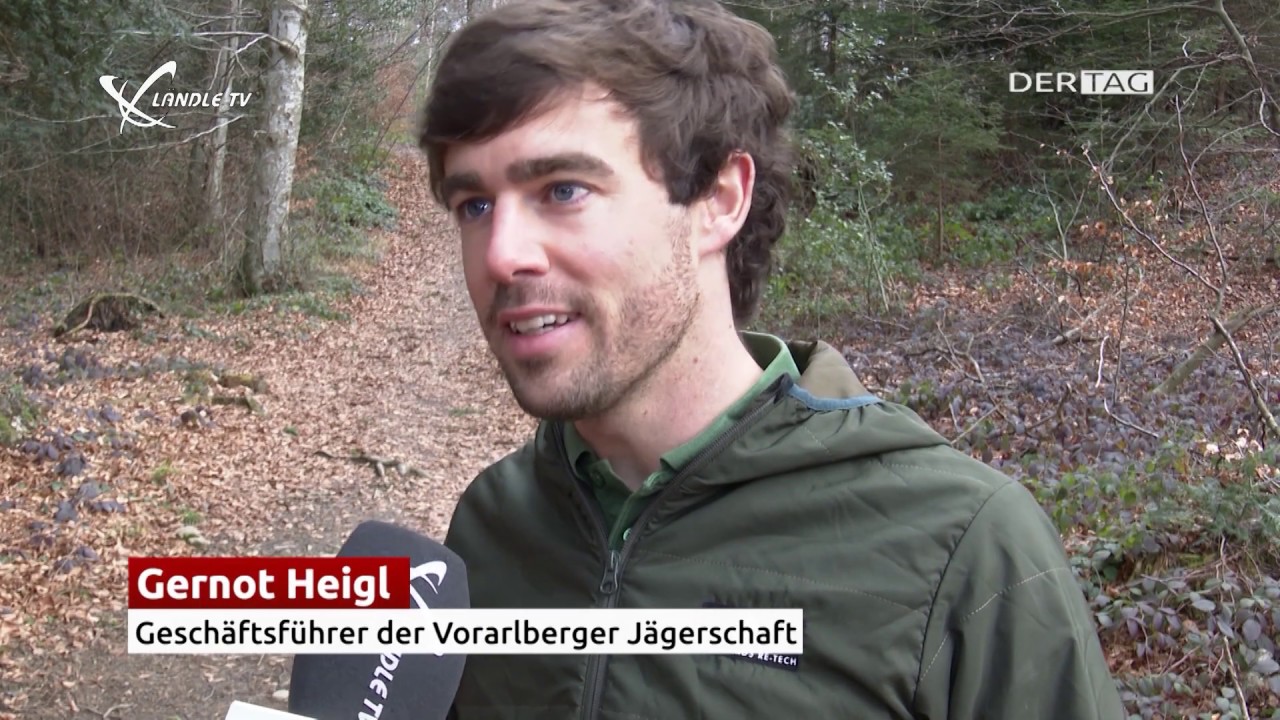 L&auml;ndle TV &ndash; DER TAG vom 21.02.2020