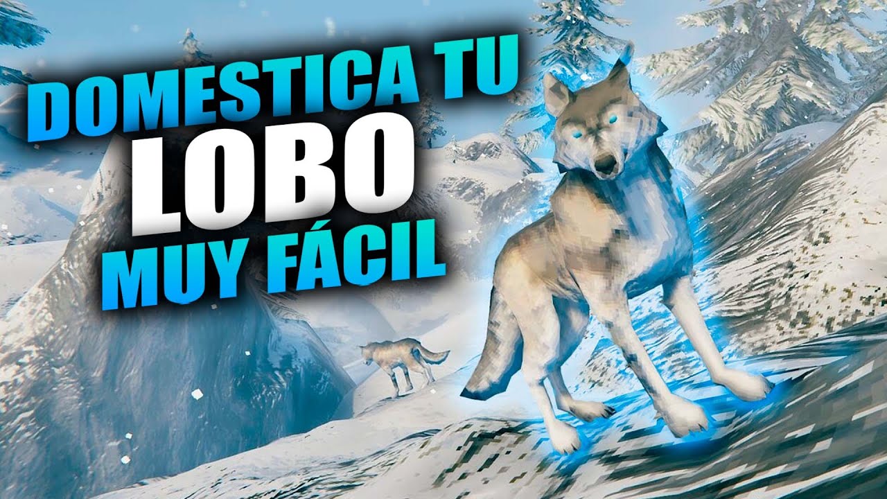 🐺 La manera MAS F&Aacute;CIL de domesticar un LOBO en VALHEIM