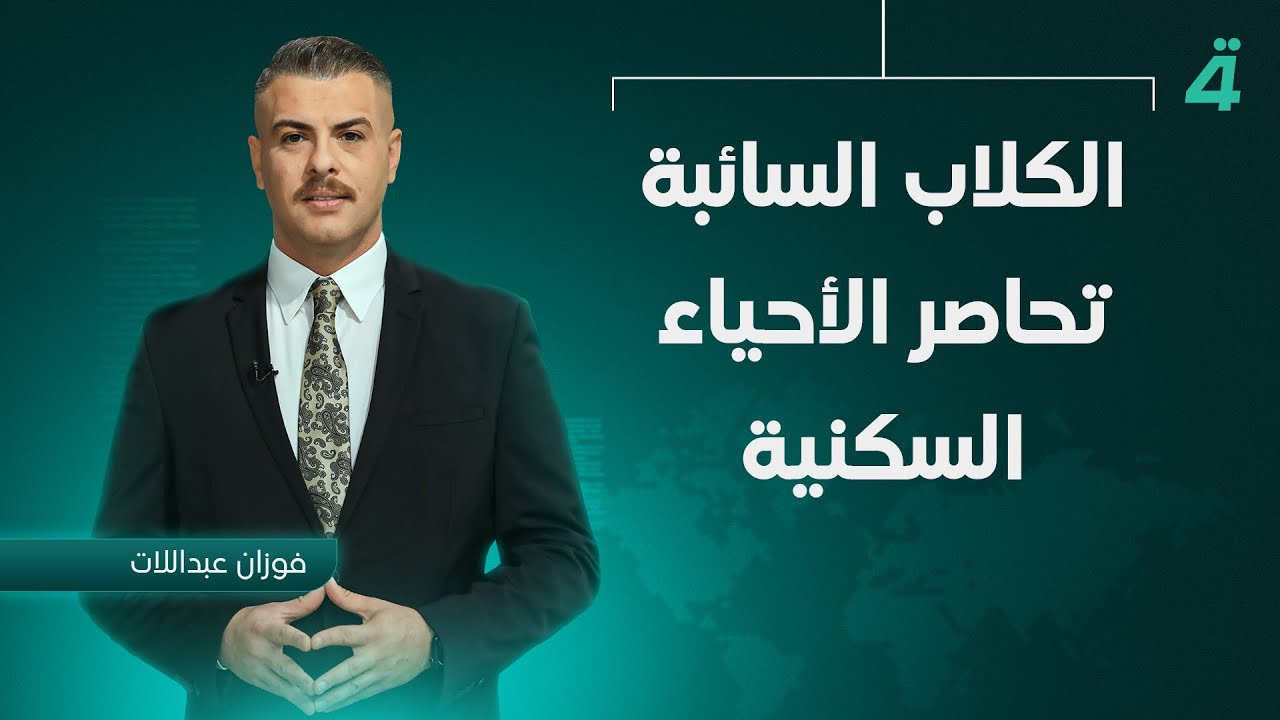 الكلاب السائبة تحاصر الأحياء السكنية | نشرة أخبار الظهيرة مع فوزان عبداللات