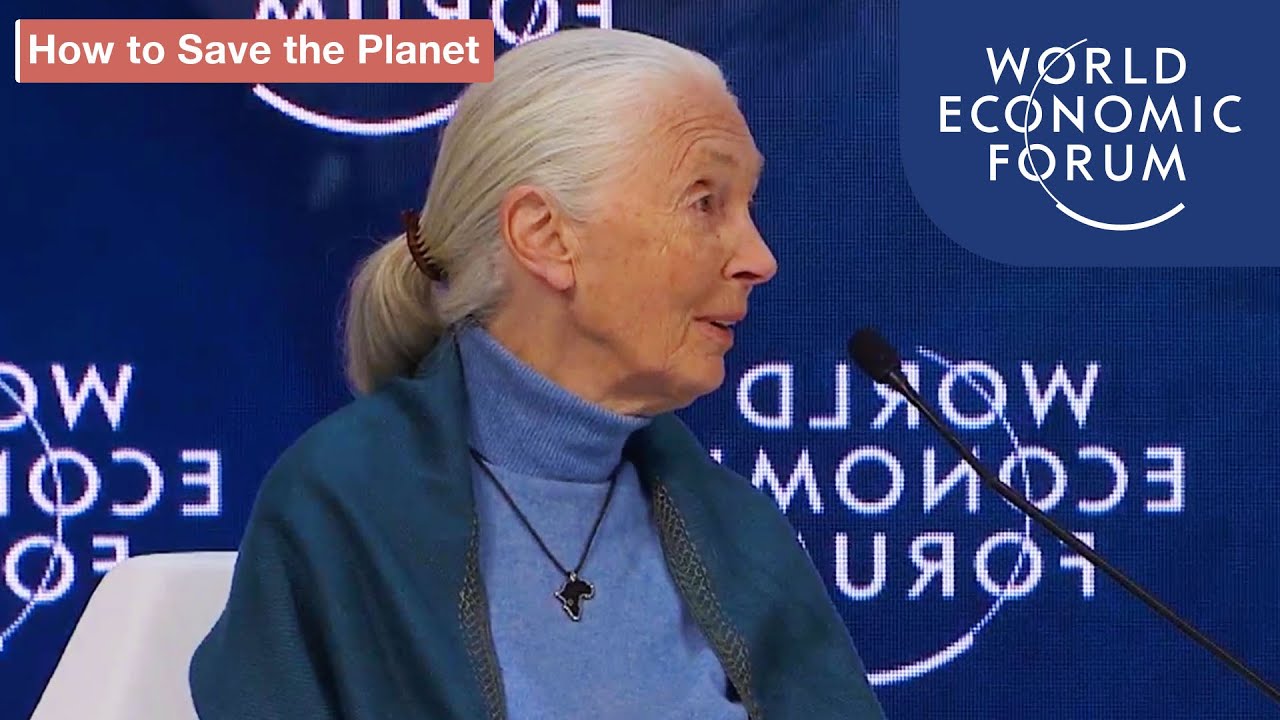 Securing a Sustainable Future for the Amazon | DAVOS 2020