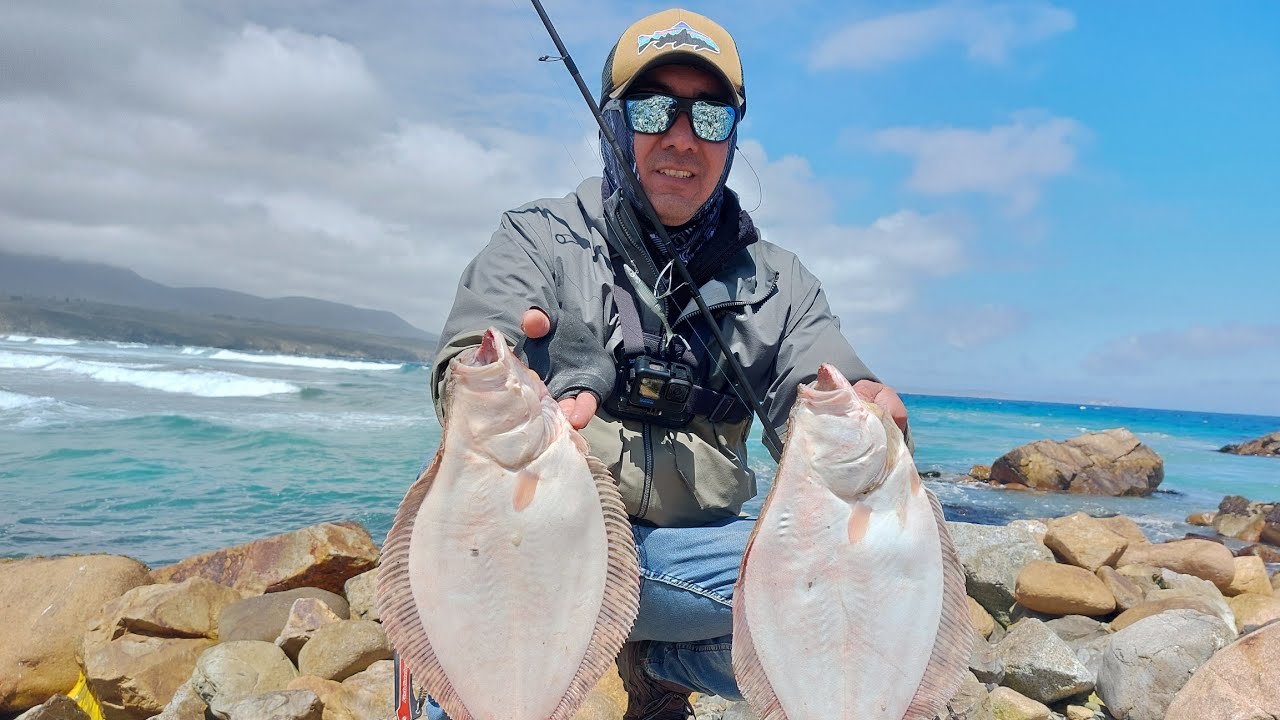 Pesca de Lenguados !! Barracuda Jigs Fish Intratable !!