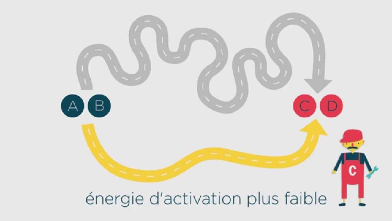 Les catalyseurs | FuseSchool + Unisciel