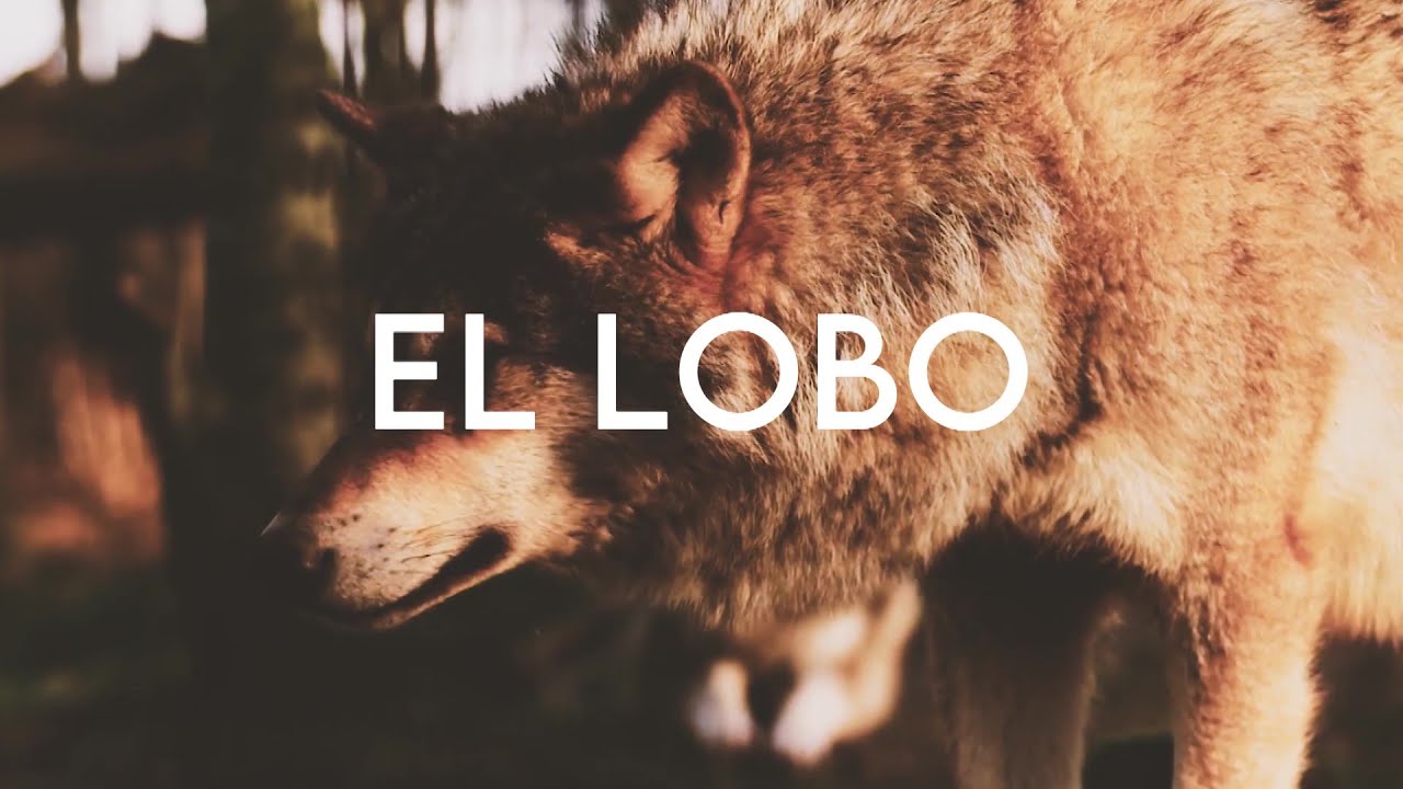 El Lobo - Jon Deca (Lyric Video)
