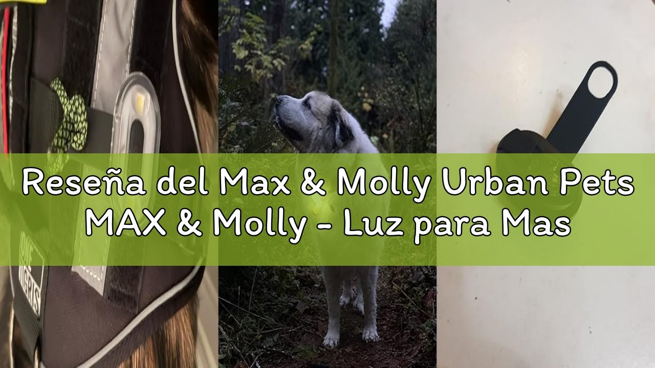 Reseña del Max & Molly Urban Pets MAX & Molly - Luz para Mascotas, Azul Cielo, Carga USB, sin baterí