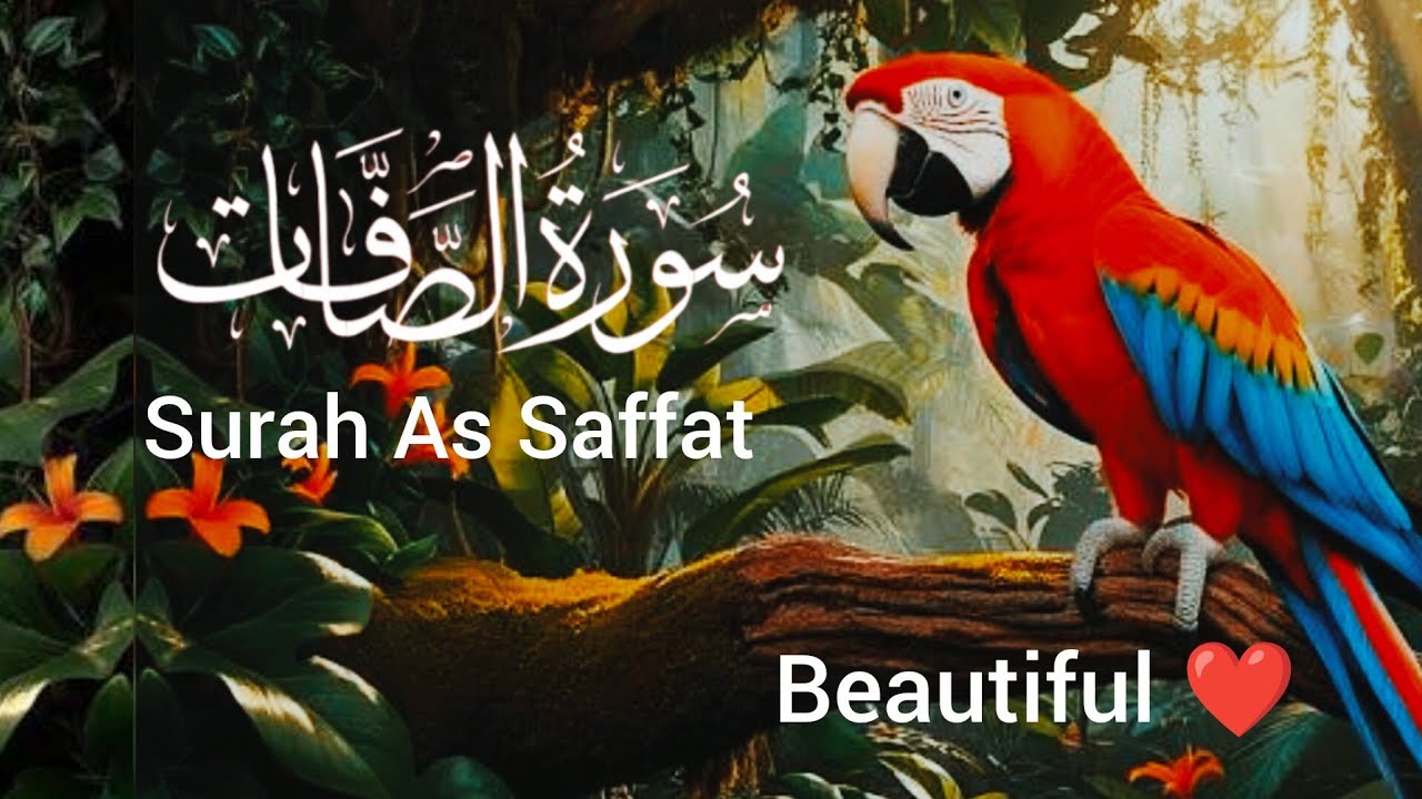 Surah as Saffat ( سورۃ الصافات) quran Kareem tilawat Hafiz Javed beautiful video 