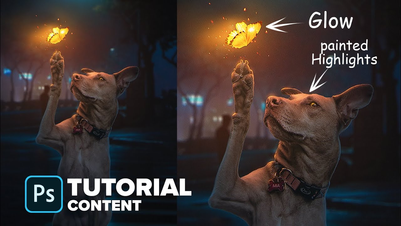 Falling Glow from Butterfly - Photoshop Manipulation Tutorial