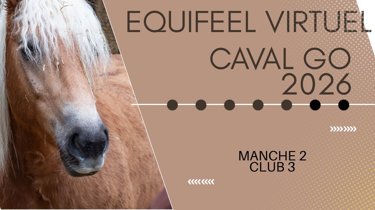 Cavalgo 2026 club 3 manche 2 avec LU Biana de Fayt 