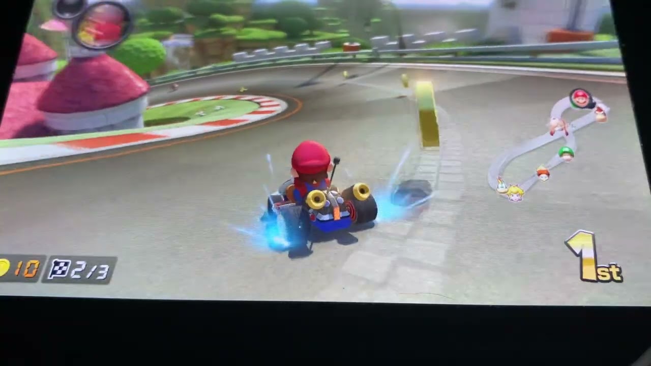 Mario kart 8 by jack the Irish wolfhound 