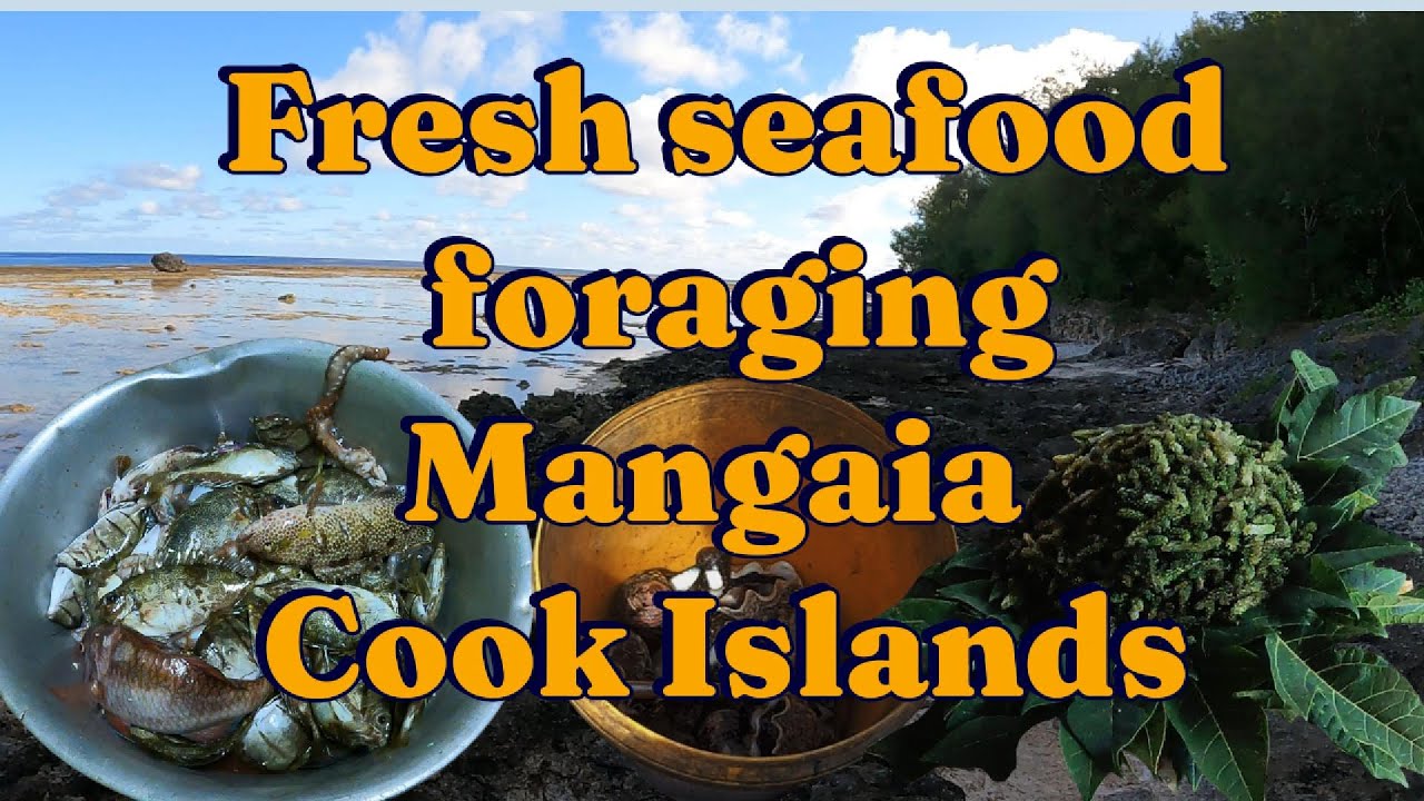 Fresh Seafood foraging Mangaia Cook Islands