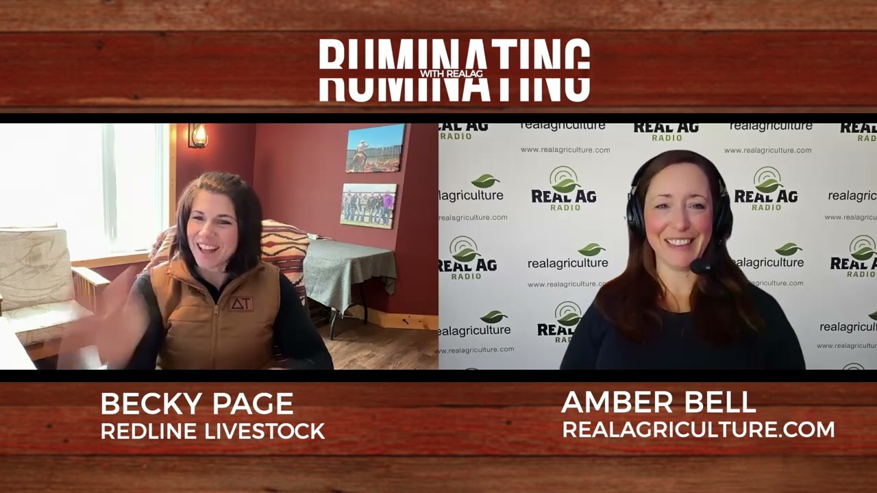 Ruminating with RealAg, Ep 39: Ranch economics, record-keeping, and real-world decisions