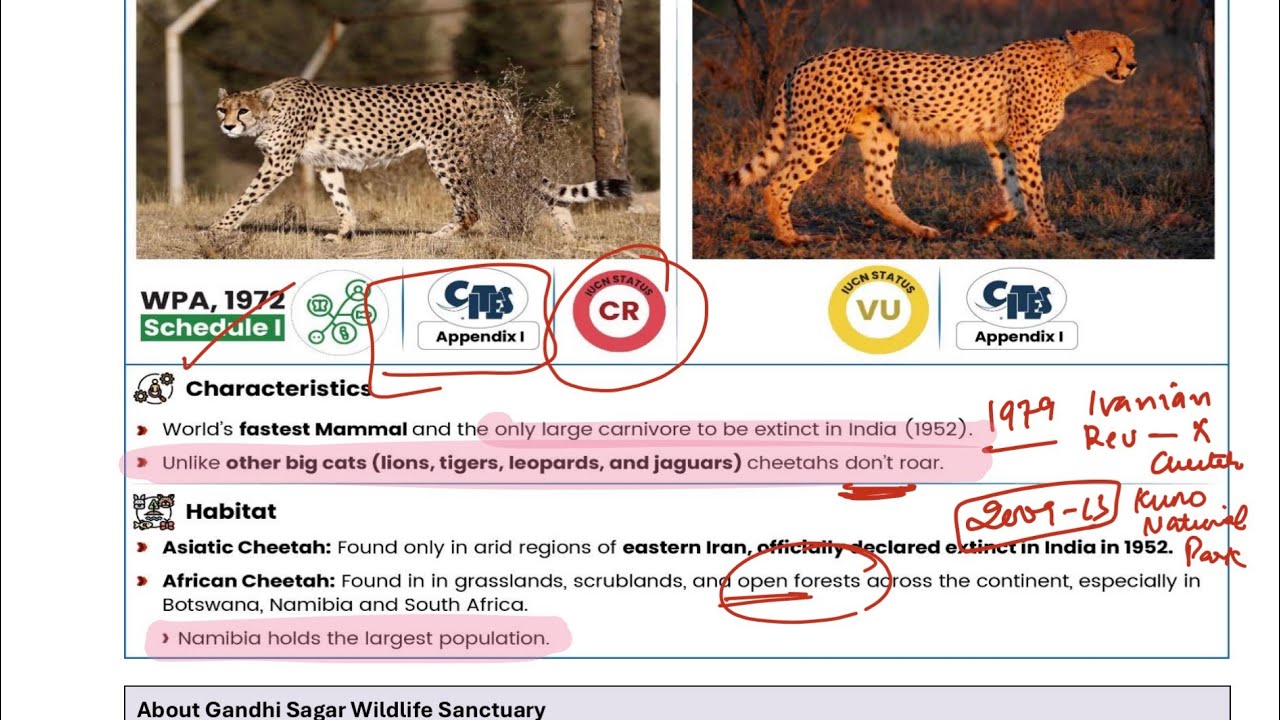 Project Cheetah | PT 365 | Environment | UPSC| PART 3