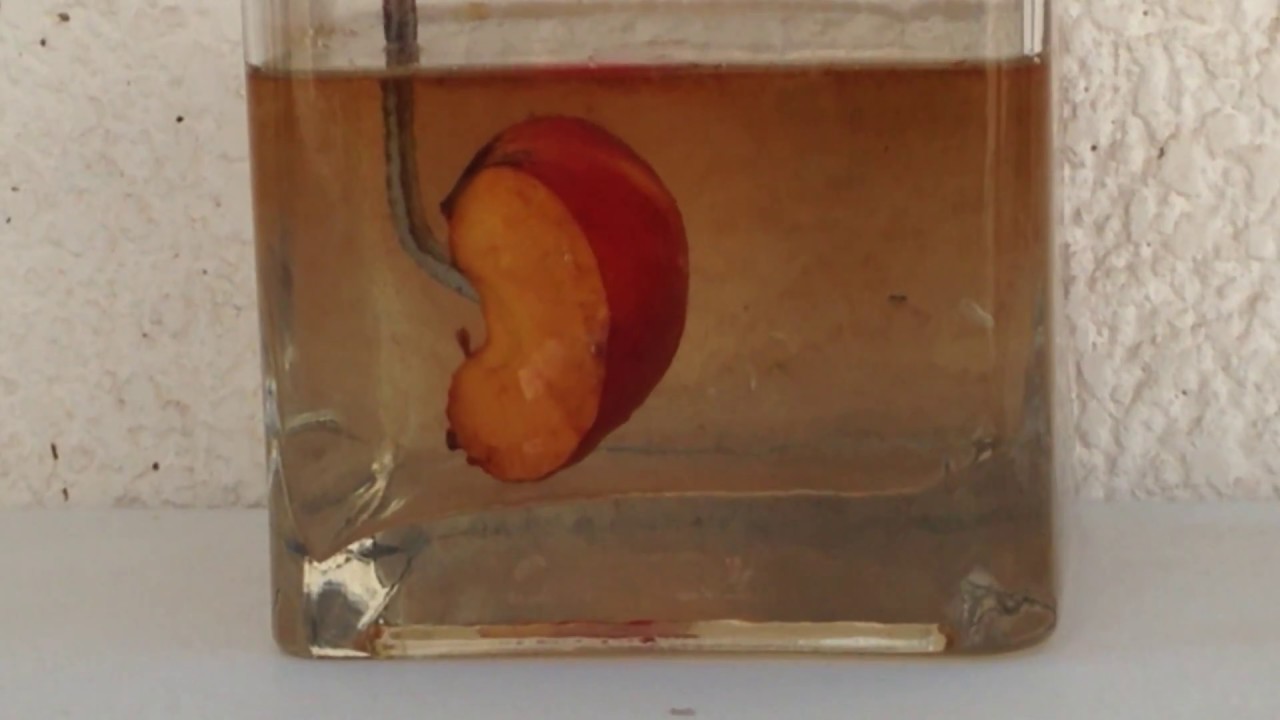 ACID vs APPLE !!   |WWH مبتكر البسيط