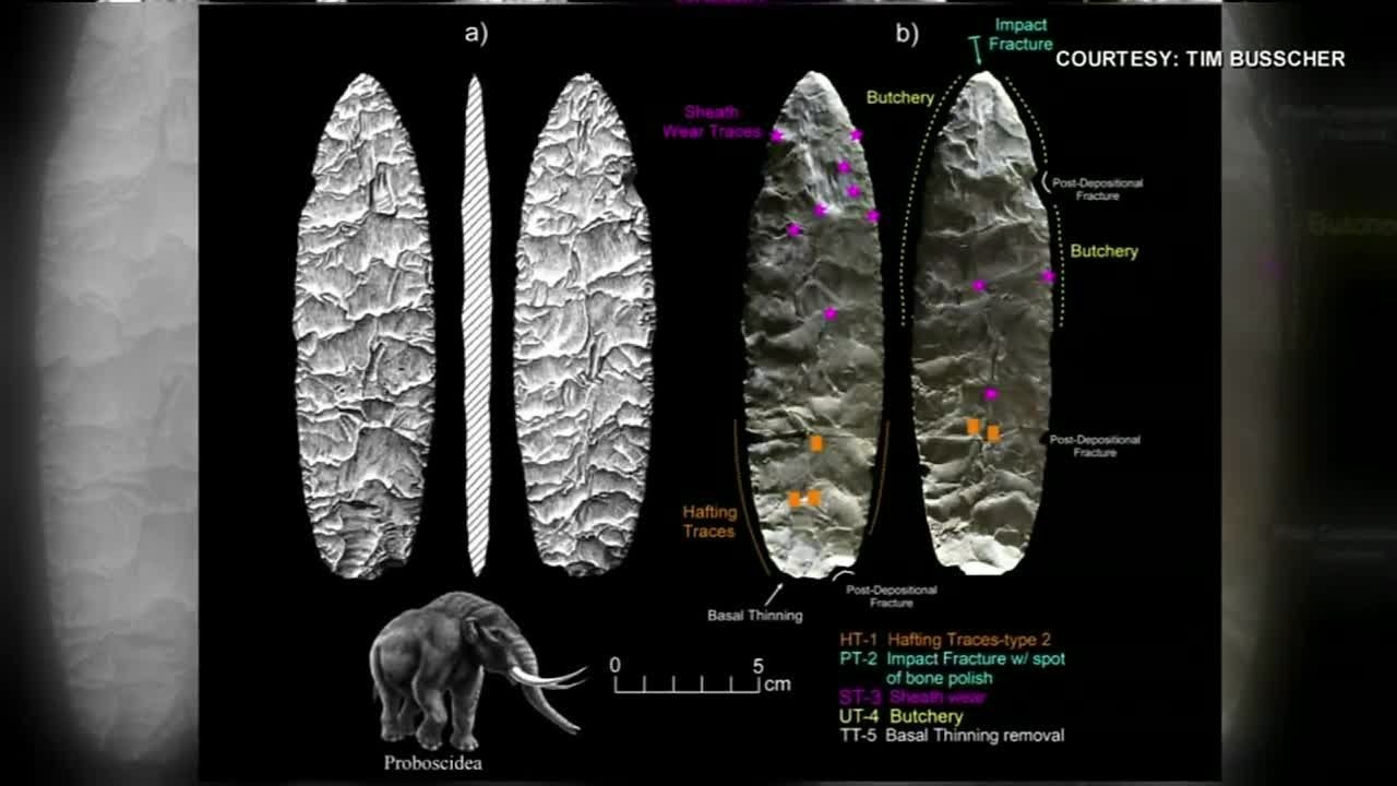 Man discovers ancient knife in SC lowcountry