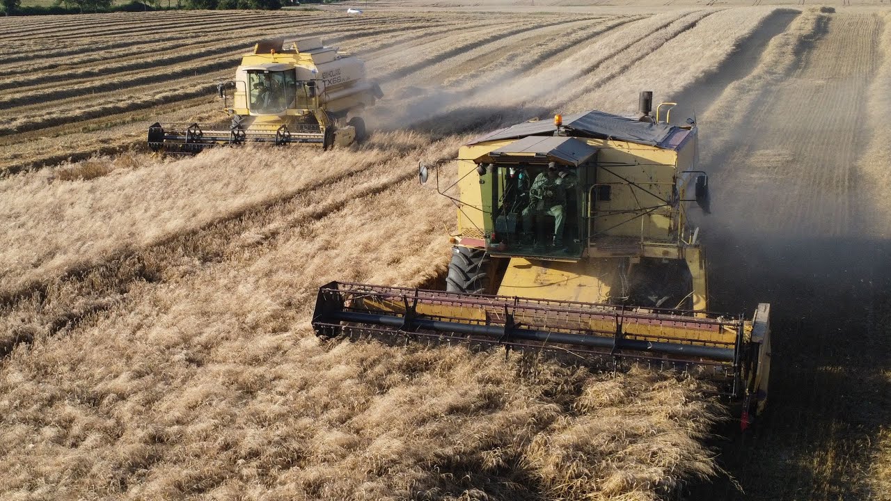 ŻNIWA 2025!/ NEW HOLLAND TX68 & NEW HOLLAND TX36