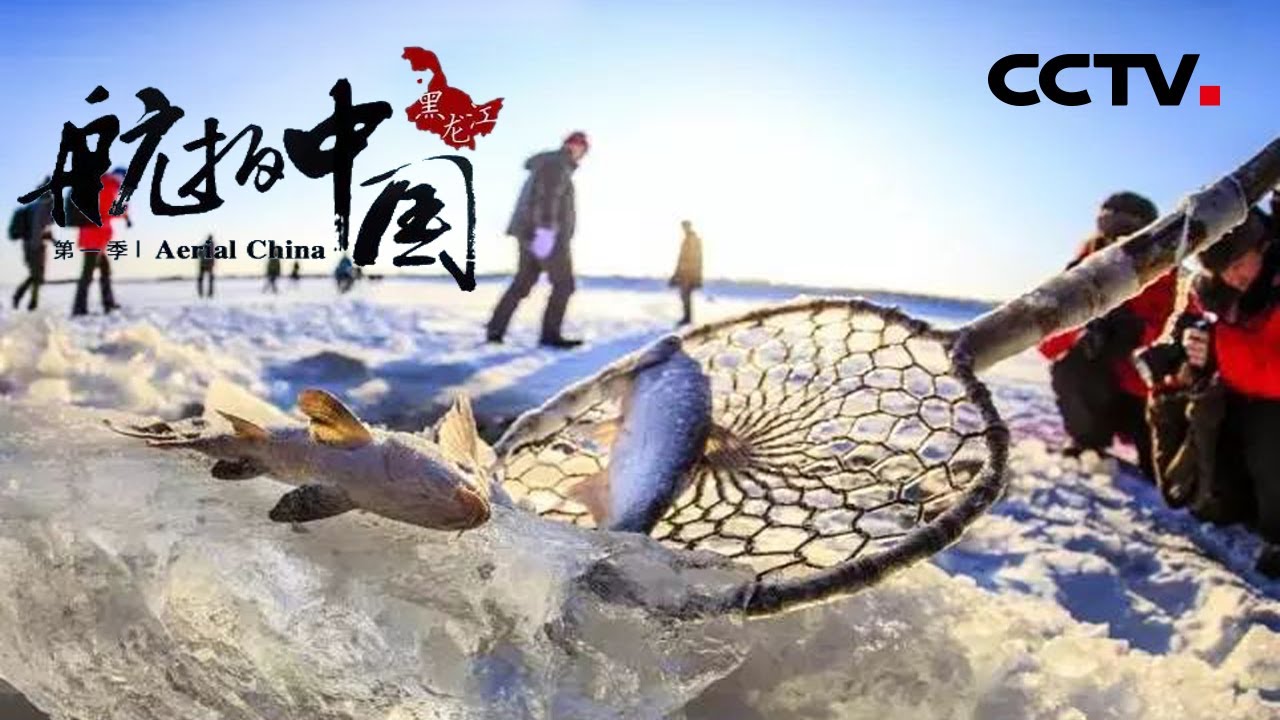 冰雪天地鱼满仓 在黑龙江冰钓冬捕那绝对是一件带劲的事！《航拍中国》第一季 黑龙江【CCTV纪录】