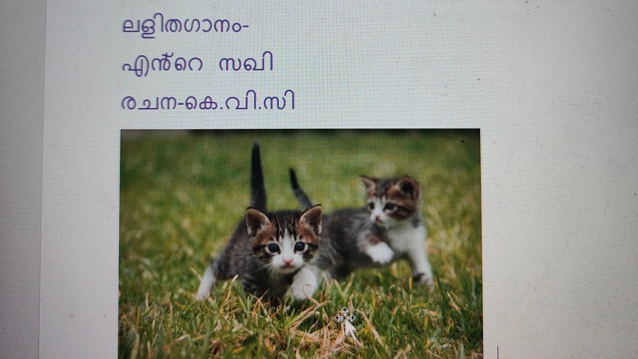 സൗഹൃദ ലളിത ഗാനം