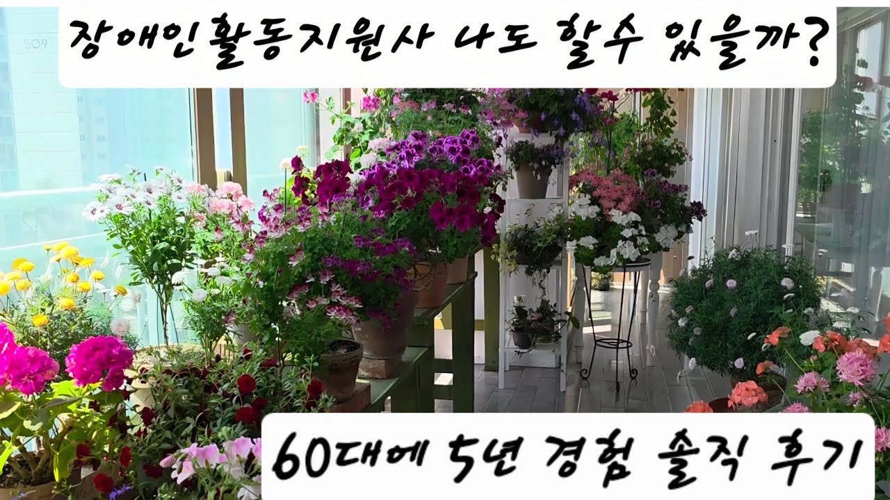 60대에  나도 장애인활동지원사 할수 있을까?  5년 경험 솔직후기