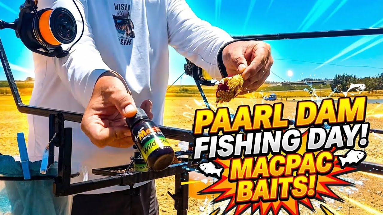 UNBELIEVABLE Carp Action at Paarl Dam! #FishingSouthAfrica #CarpFishing #PaarlFishing #MacPacBaits