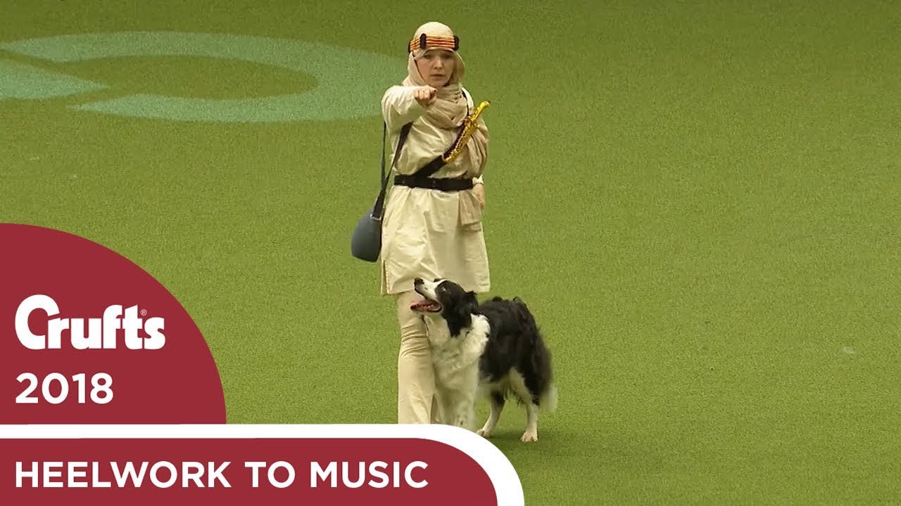 Heelwork to Music Competition Part 2 | Crufts 2018