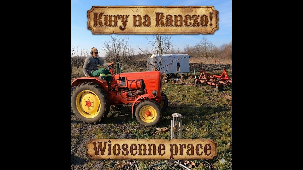 U Waldka na Ranczo - Pierwsze kurki i prace wiosenne !