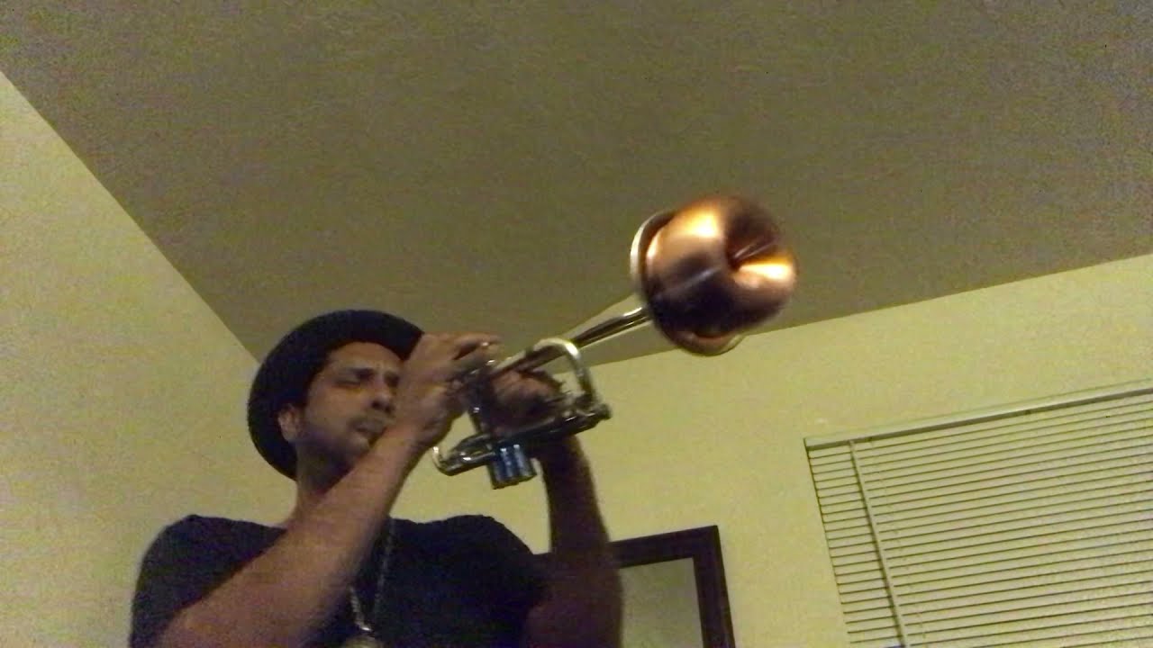 Miles Davis tribute (jazz trumpet with mute)