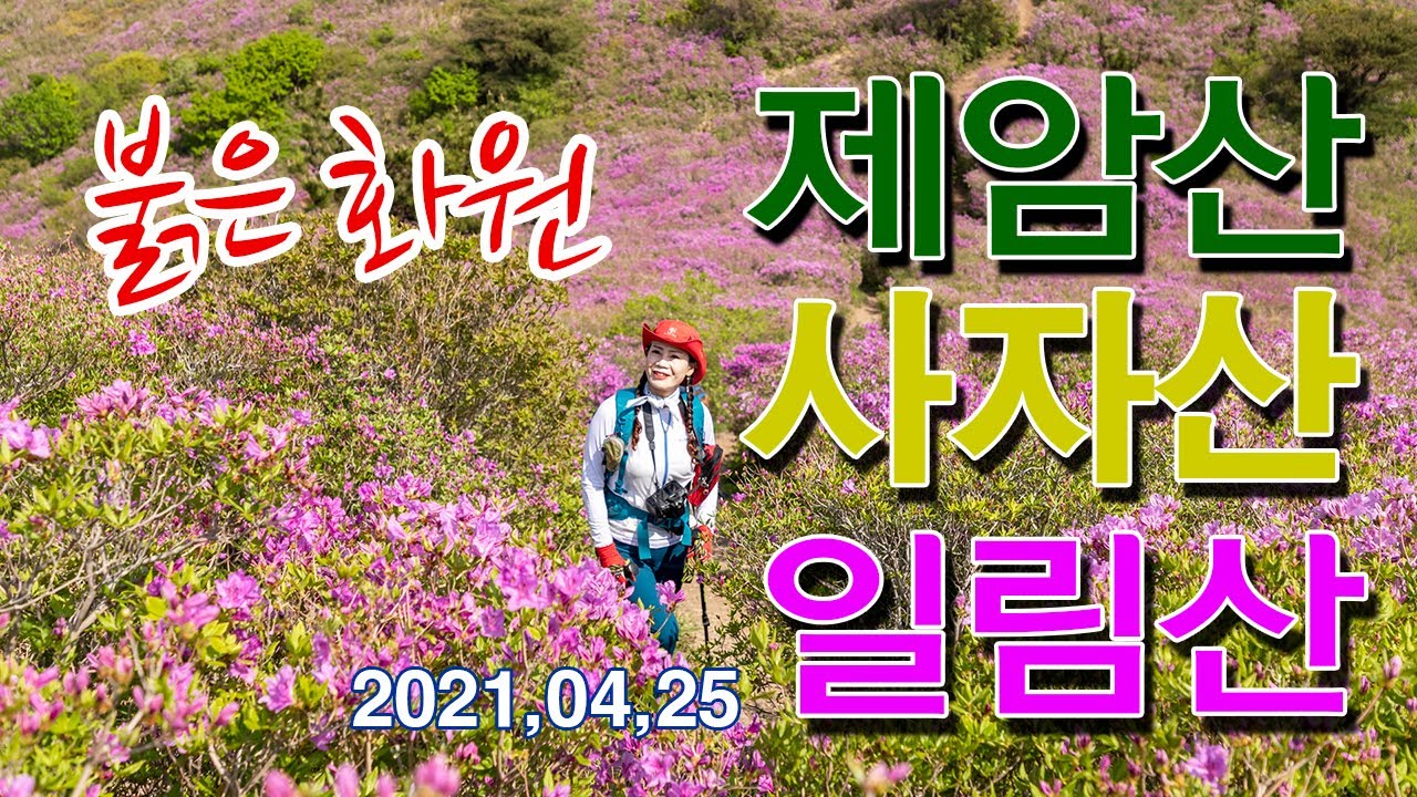 천상의 화원 제암산 일림산 사자산 철축산행/