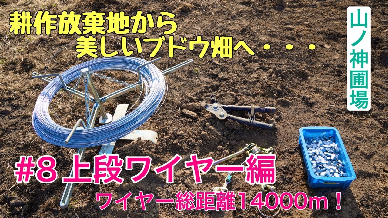 いろいろな道具を使って、ブドウの枝を支える上段ワイヤーを張っていきます！