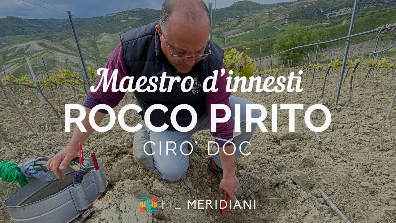 Rocco Pirito, maestro d'innesti del Cirò.