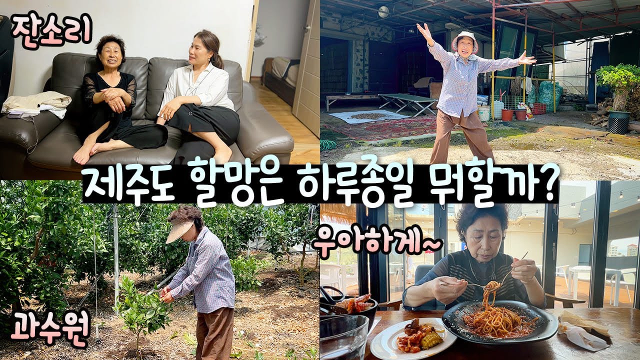 햇빛이 와락와락한 날 행자씨 브이로그! 아들, 며느리에게 잔소리하고 과수원갔다 맛집 탐방!