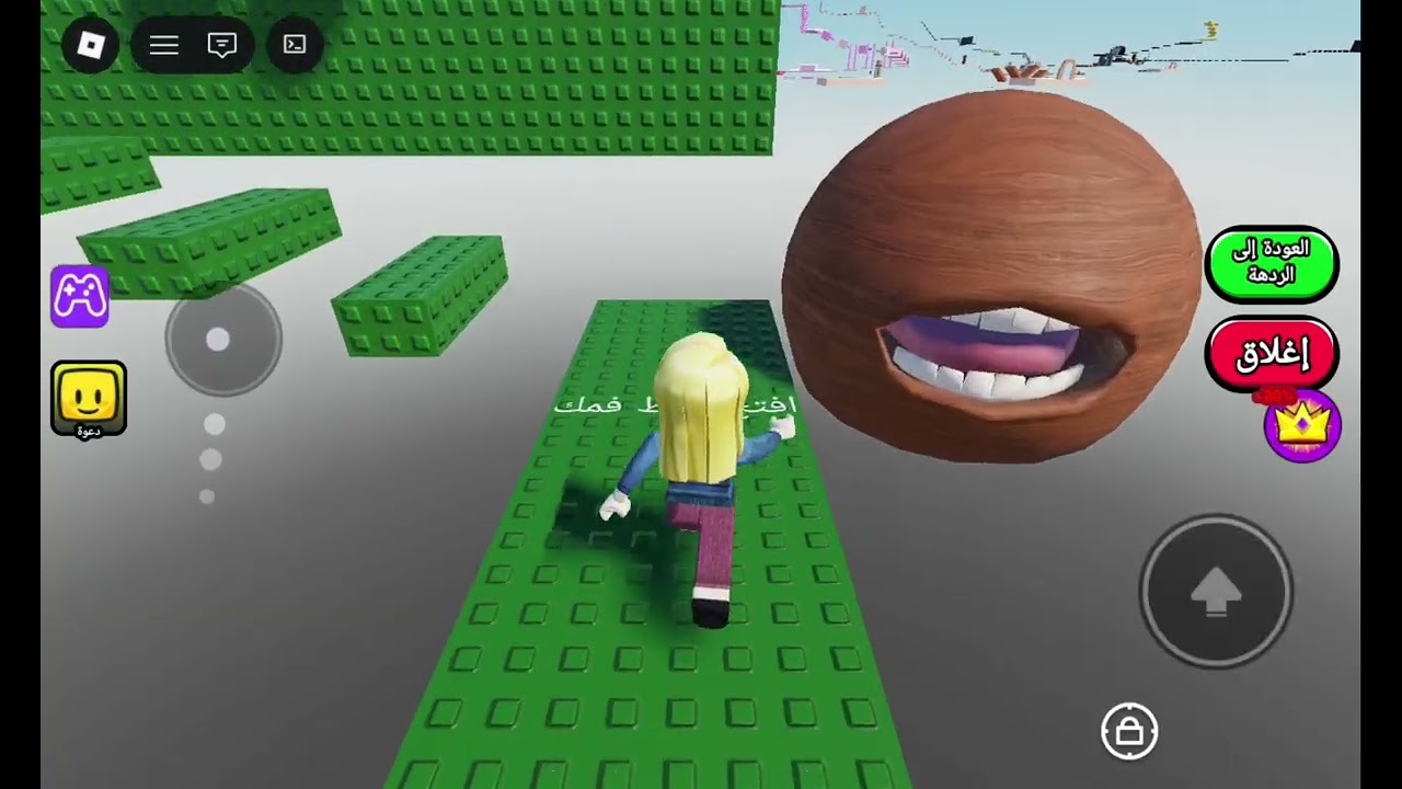 19 فبراير 2026