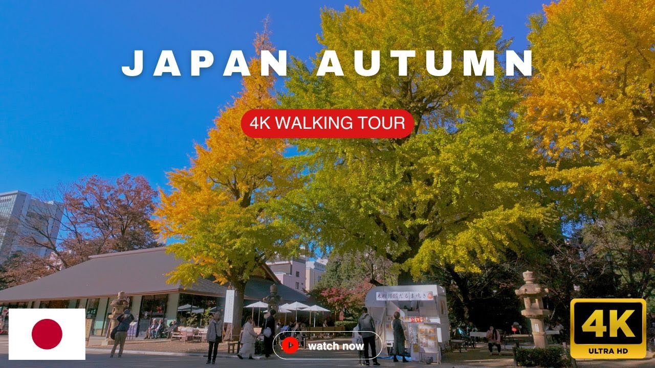 Relaxing Autumn Walk at Yasukuni Shrine | Japan Travel Walking Tour 4K UHD