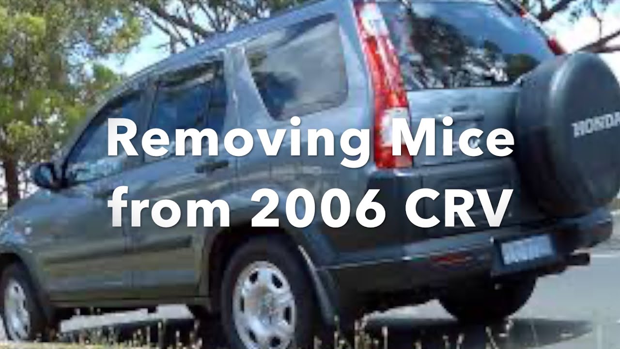 Removing Mice from 2006 CRV