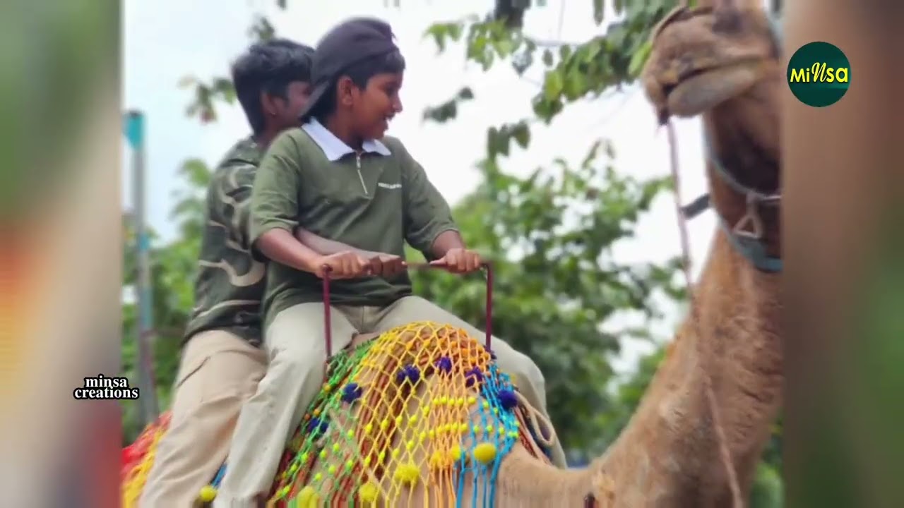 ചതുരംഗപ്പാറ ടൂർ, കേരള വ്യാപാരി വ്യവസായി സമിതി, പട്ടിമറ്റം.
