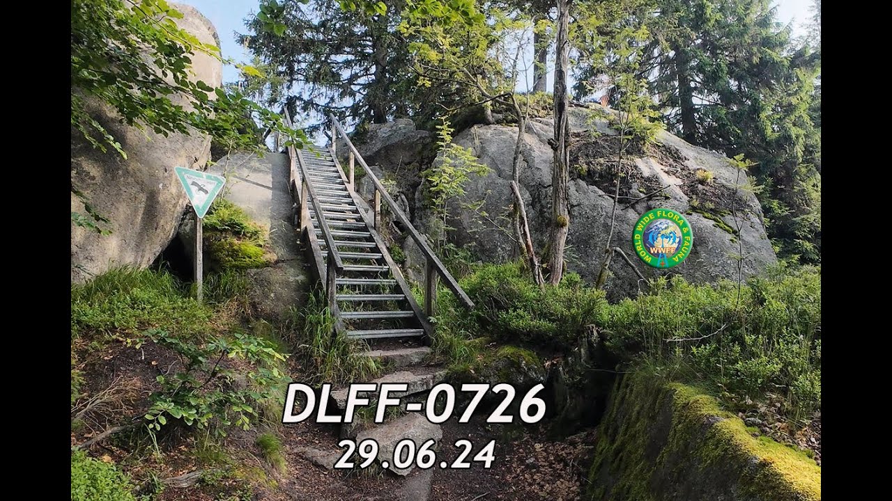 WWFF activity DLFF-0726 DP44WCA Nature Reserve Nußhardt