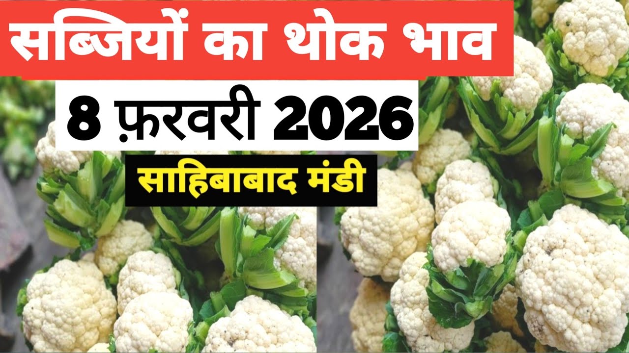 8 February 2026 🥬🫑 🥦 सब्जियों का भाव साहिबाबाद मंडी | today vegitables rates #mandirates 