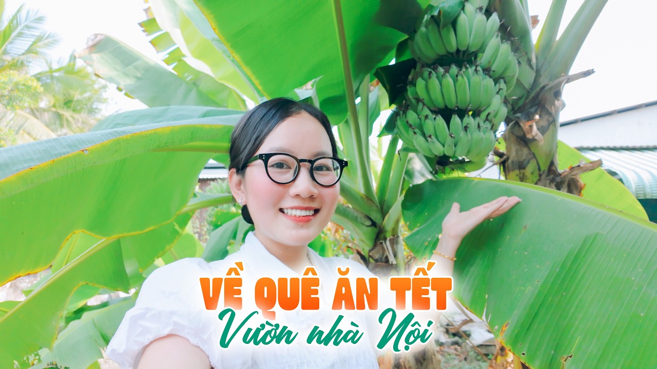 Về quê miền Tây - Thăm vườn trái cây của nội | Trương Kim Lý