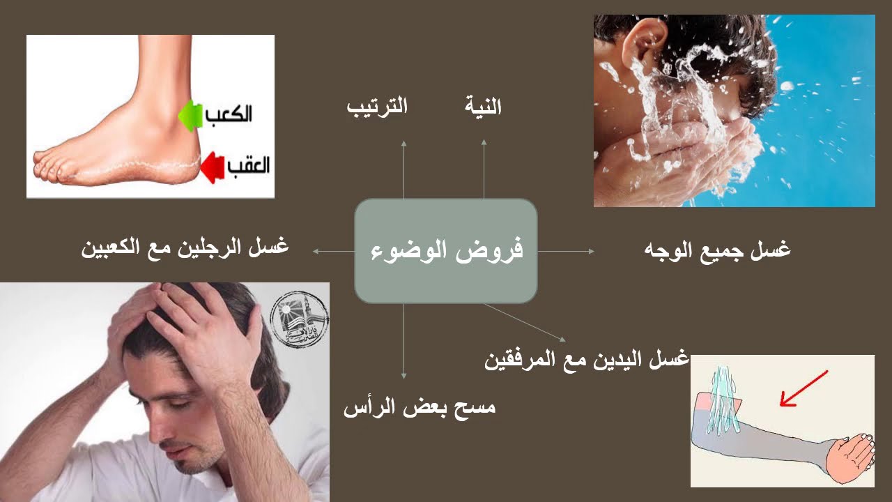 الفقه الشافعي للصف الأول الإعدادى الترم الأول (الحلقة 3) شرح سهل وسريع للوضوء