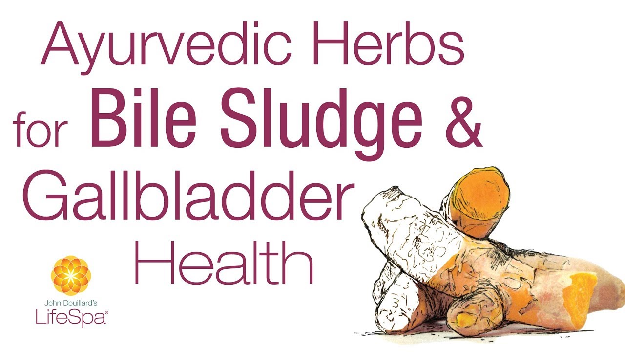 Ayurvedic Herbs for Bile Sludge & Gallbladder Health | John Douillard's LifeSpa