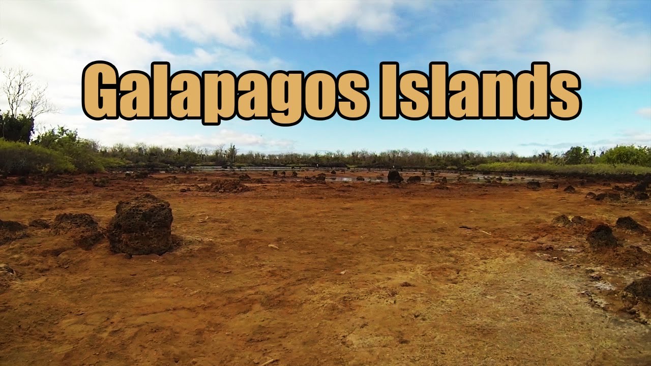 Galapagos Islands - GoPro Video