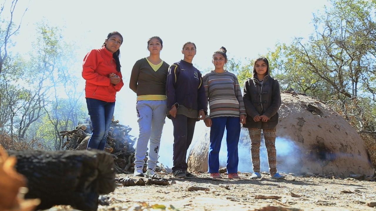 Carboneras del Salado Norte: un oficio que aporta a la economía local del monte santiagueño