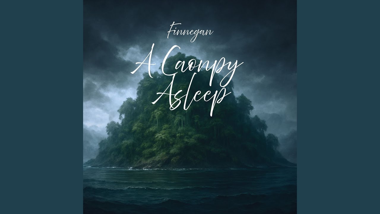 A Canopy Asleep