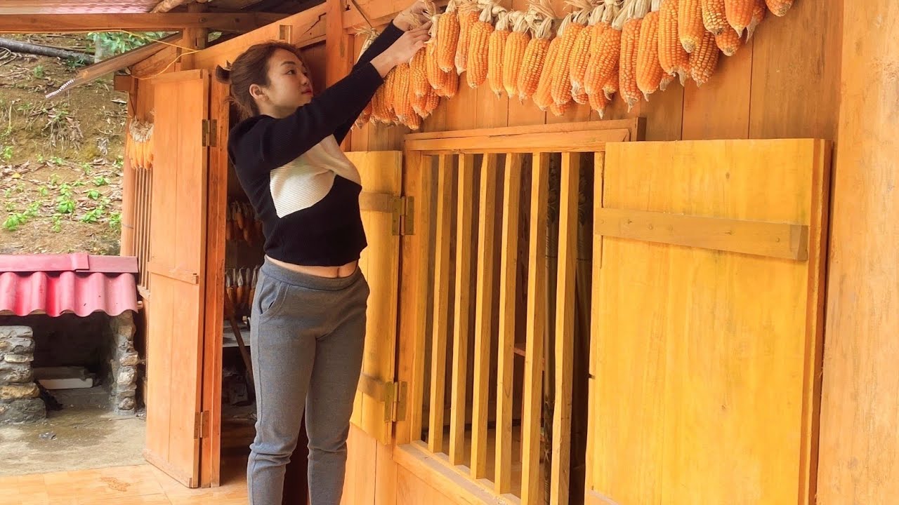 Daily Life - Harvesting Processing and Preserving Corn - Lan Lan Farm