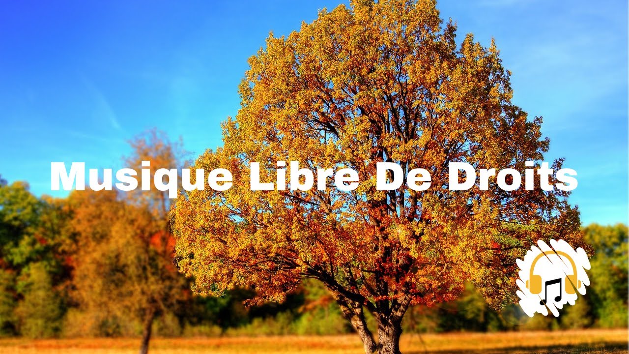 Positive | Impatient (instrumental) - Sacha Ende | Musique Libre de Droit