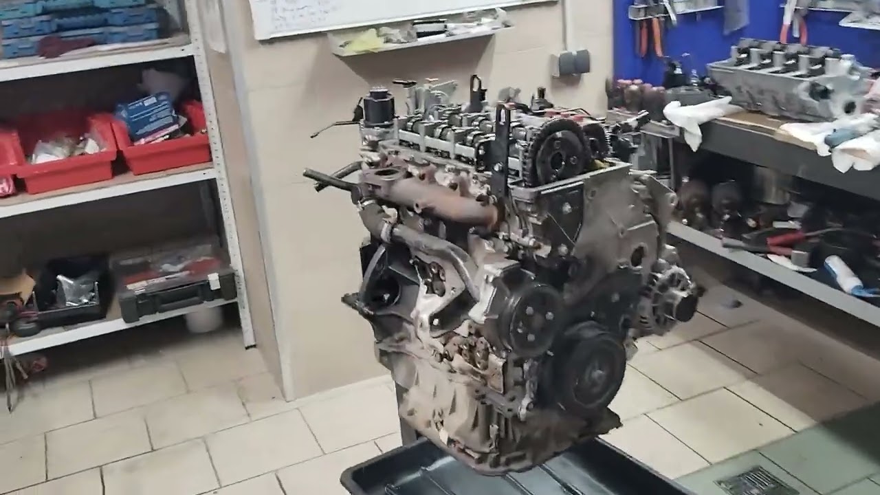 Hyundai Staria с двигателем D4HB и пробегом 20тыс.км грохот нижней цепи,как проверить, в чем причина
