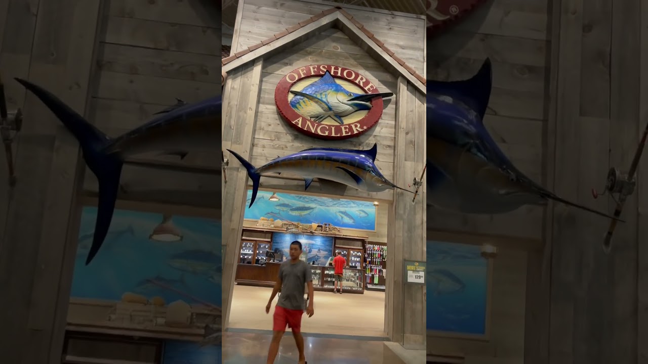 Offshore Angler | Fishing Pole |  Fishing store 