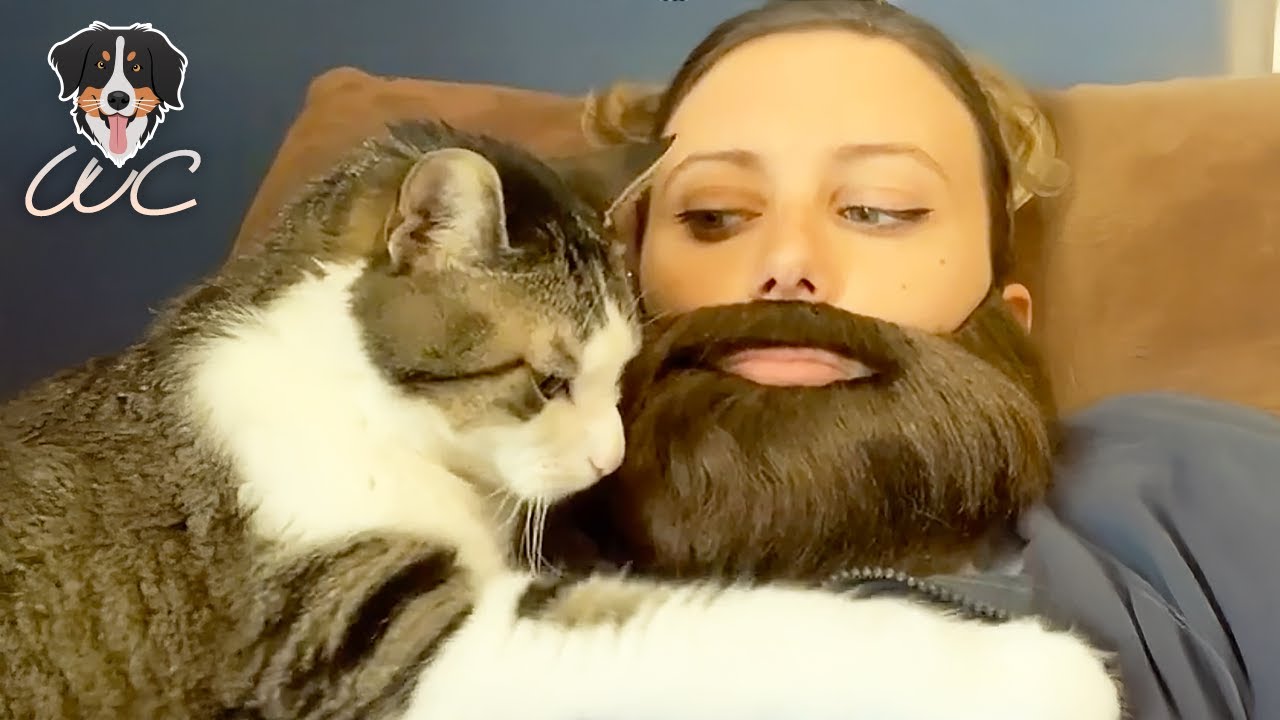 This Cat Only Calms Down When It Finds a Beard | WC