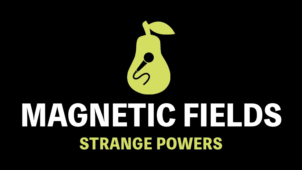Magnetic Fields - Strange Powers (Karaoke)